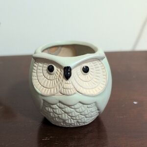 Decorative Ceramic Owl Planter in Light Gray/Green and Cream